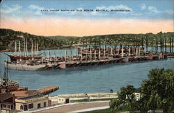 Lake Union Showing Old Boats Postcard