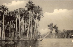 Tropical Scene along the Tomoka River Postcard