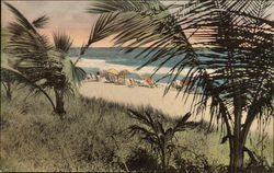 Hillsboro Club Pompano Beach, FL Postcard Postcard