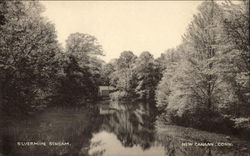 Silvermine Stream Postcard