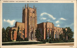 Peabody Museum at Yale University New Haven, CT Postcard Postcard