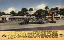 Palms Motor Court St. Augustine, FL Postcard Postcard