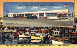 Exposition Fish Grotto - Fisherman's Wharf Postcard