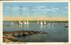 Yachts at Anchor Postcard