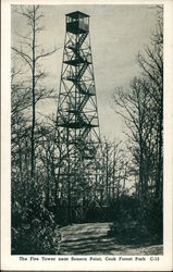 The Fire Tower Near Seneca Point, Cook Forest Park Cooksburg, PA Postcard Postcard