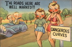 The roads here are well marked!!! Dangerous Curves Comic, Funny Postcard Postcard