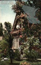 An Oregon Cottage Embowered in Roses Postcard Postcard