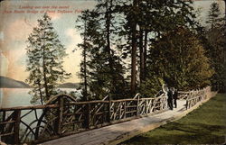 Looking out over the Sound from Rustic Bridge at Point Defiance Park Tacoma, WA Postcard Postcard