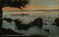 Fish Trap on Beautiful Puget Sound Washington Postcard Postcard