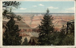 The Canyon Seen Through Pines on the Rim Postcard