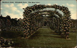 The Rose Arbor in Elizabeth Park Postcard