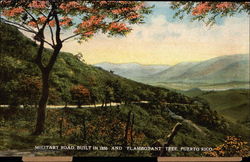 Military Road, Built in 1850 and "Flamboyant" Tree Puerto Rico Postcard Postcard