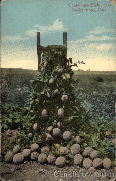 The rocky ford melons company inc #5