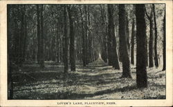 Lover's Lane Plainview, NE Postcard Postcard