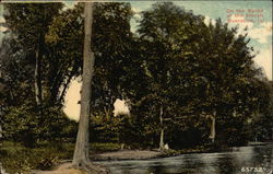 On the Banks of the Slough Muscatine, IA Postcard Postcard