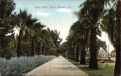 Palm Walk Santa Monica, CA Postcard Postcard