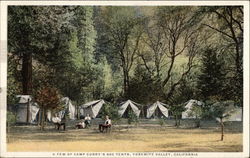 A few of Camp Curry's 600 tents Yosemite Valley, CA Yosemite National Park Postcard Postcard