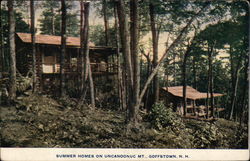 Summer Homes on Uncanoonuc Mountain Goffstown, NH Postcard Postcard