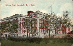 Mount Sinai Hospital New York, NY Postcard Postcard