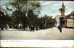 Madison Avenue Postcard