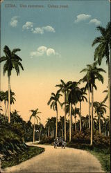 Una Carretera. Cuban Road Postcard Postcard