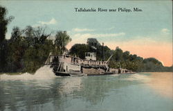 Tallahatchie River Philipp, MS Postcard Postcard