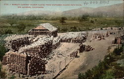 World's Largest Pigeon Ranch from Southern Pacific Co's Train Postcard