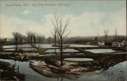 State Fish Hatcheries, Mill Creek Postcard