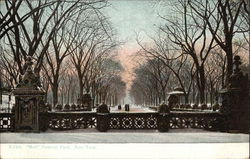 Central Park - Mall New York, NY Postcard Postcard