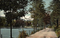 View of Road and Lake Griffin, NY Postcard Postcard