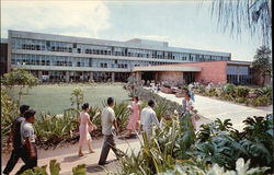 University of Hawaii - Gregg M. Sinclair Library Postcard