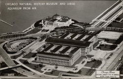 Chicago Natural History Museum and Shedd Aquarium Illinois Postcard Postcard