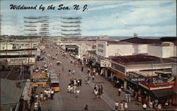 Boardwalk Looking North from Playland Postcard