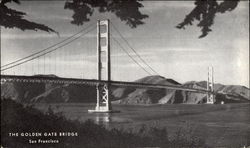 The Golden Gate Bridge San Francisco, CA Postcard Postcard