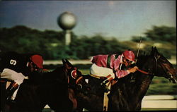 Horse Racing at The Aqueduct - The "Big A" South Ozone Park, NY Long Island Postcard Postcard