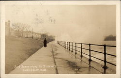 Surf Scene along the Boulevard Postcard