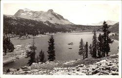 Mt. Dan and Tioga As Seen from Tioga Pass Yosemite National Park, CA Postcard Postcard