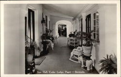 Cedar Lodge - Sun Hall Postcard