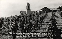 The Christian Brothers Monastery and Vineyards Napa, CA Postcard Postcard