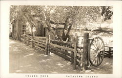 Inland Tour Santa Catalina Island, CA Postcard Postcard