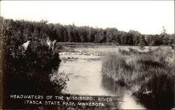 Headwaters of the Mississippi River, Itasca State Park Postcard