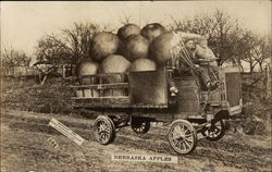 Nebraska Apples Exaggeration Postcard Postcard