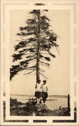 Two Girls Standing Under Tree Women Postcard Postcard