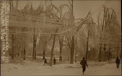 Old School Grounds in Winter Postcard