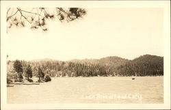 Lake Arrowhead Calif Postcard