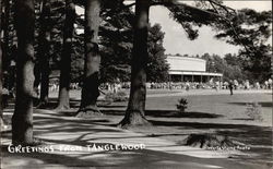 Greetings from Tanglewood Lenox, MA Postcard Postcard