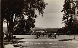 Greetings from Tanglewood Lenox, MA Postcard Postcard