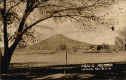 Picacho Mountain Las Cruces, NM Postcard Postcard