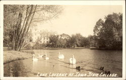 Lake Laverne at Iowa State College Ames, IA Postcard Postcard