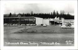 Tillamook Cheese Factory Oregon Postcard Postcard